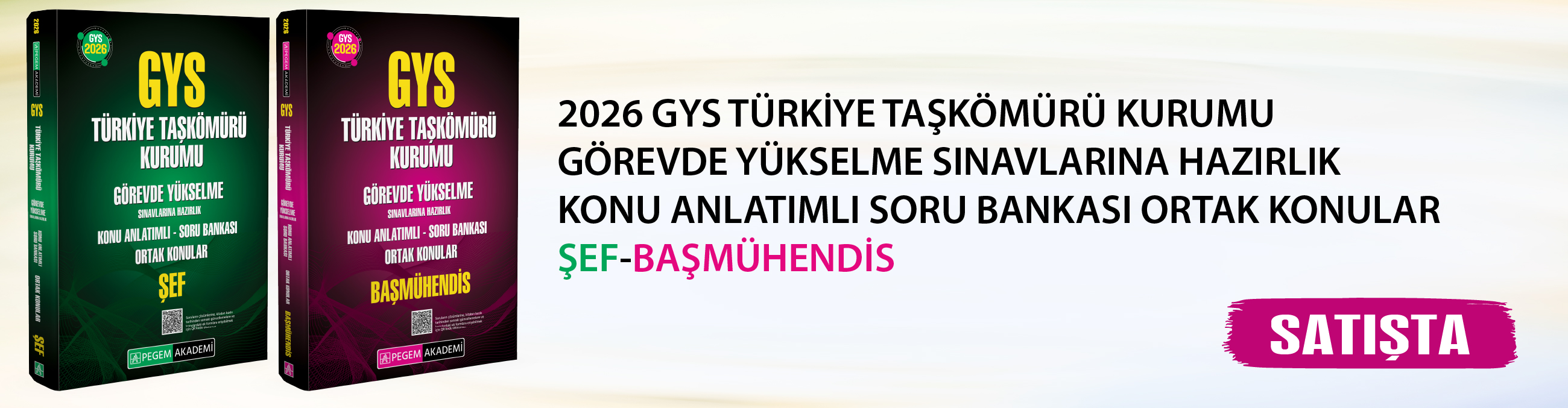 Pegem Akademi Yayıncılık - 2