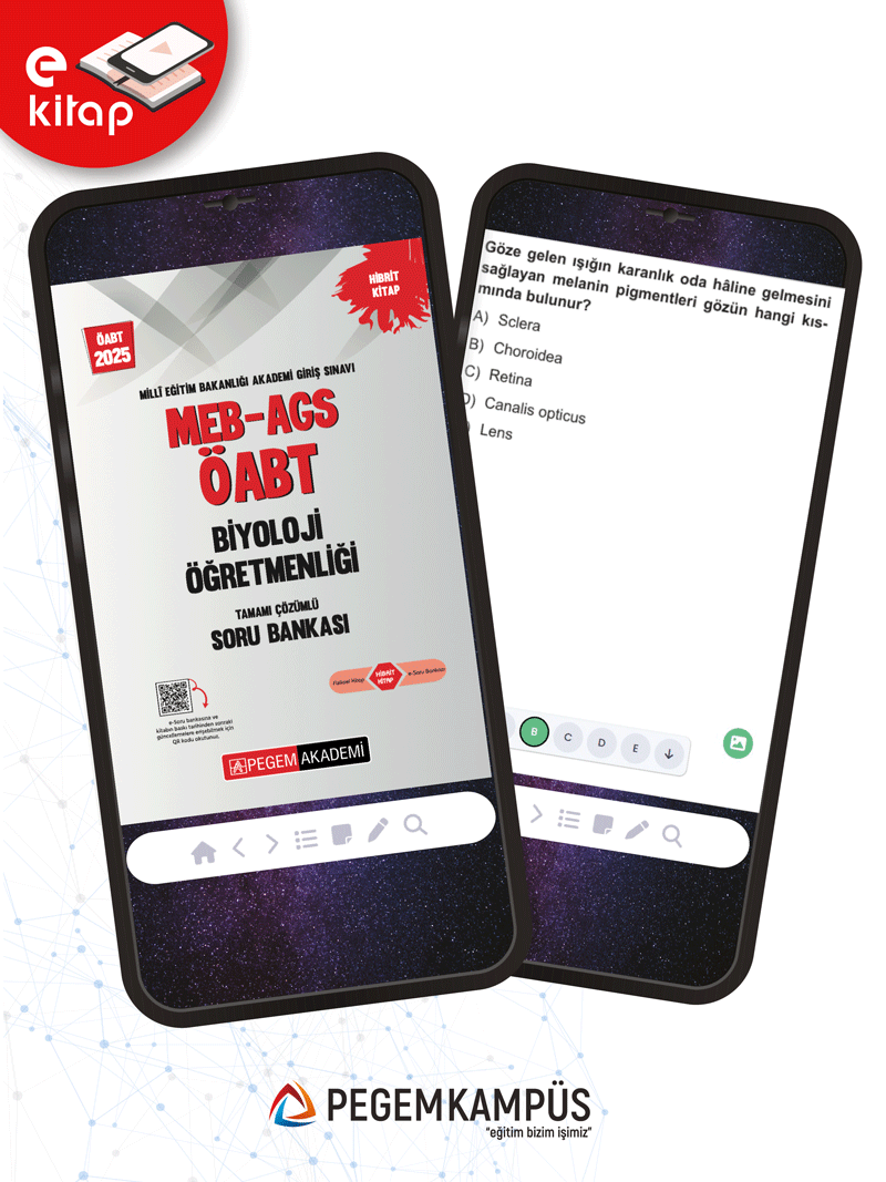 2025 MEB-AGS ÖABT Biyoloji Öğretmenliği E-Soru Bankası 2025 MEB-AGS ÖABT Biyoloji Öğretmenliği E-Soru Bankası