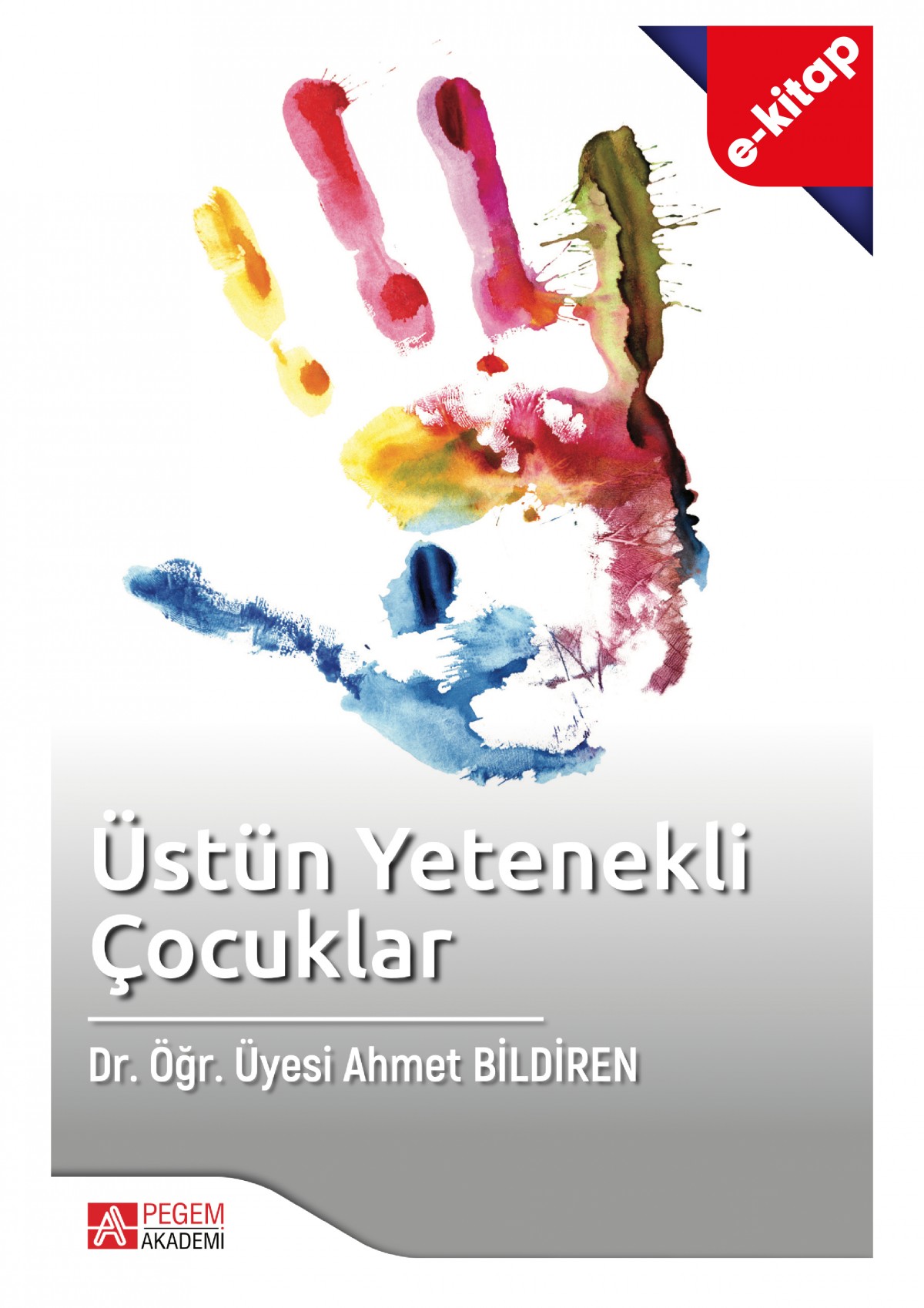 Üstün Yetenekli Çocuklar (e-kitap)