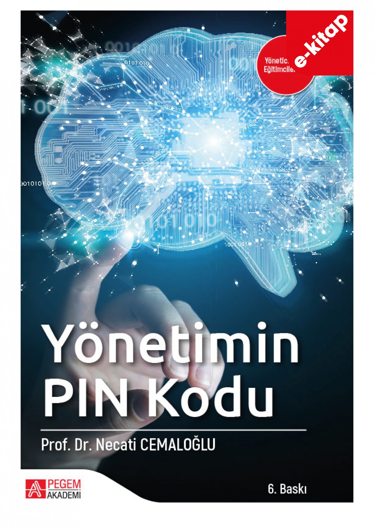 Yönetimin Pin Kodu (e-kitap)