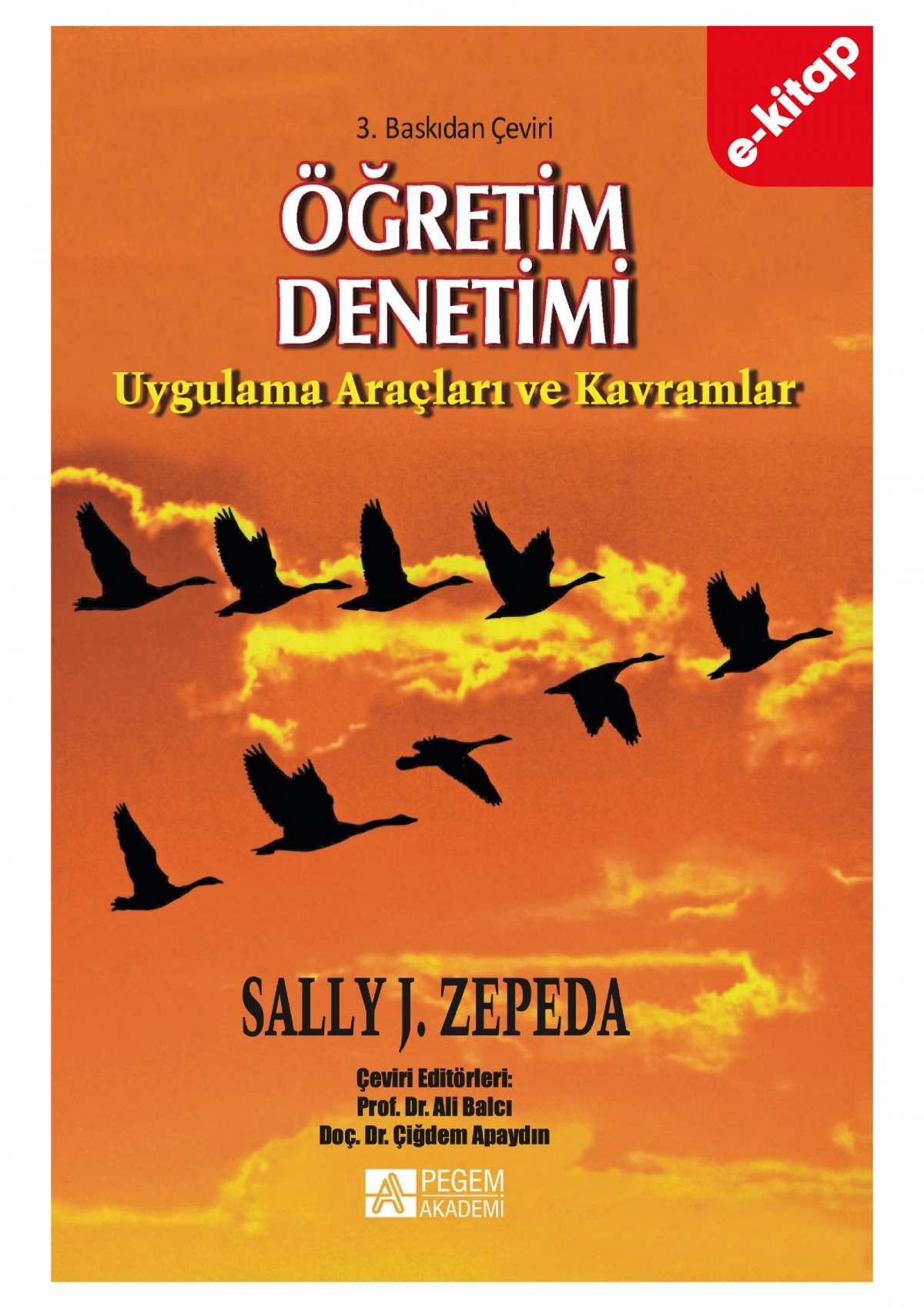 Öğretim Denetimi (e-kitap) Öğretim Denetimi (e-kitap)