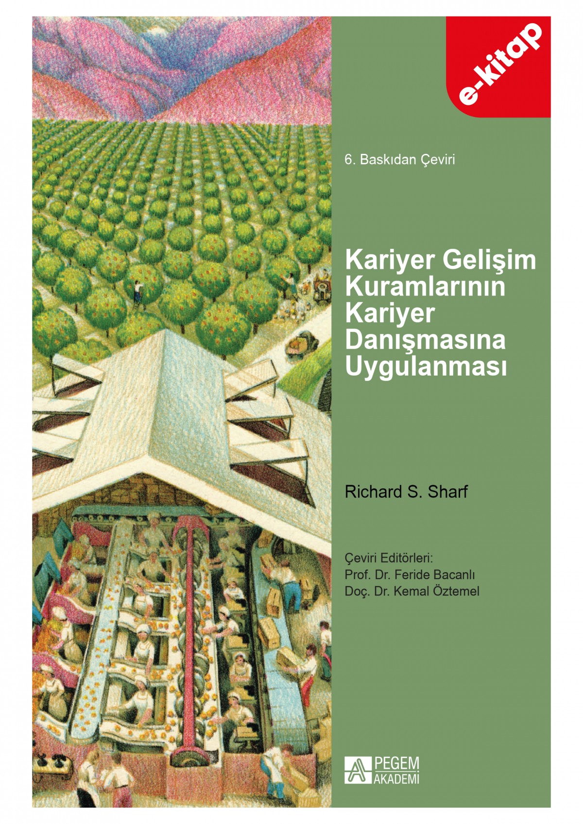 Kariyer Gelişim Kuramlarının Kariyer Danışmasına Uygulanması (e-kitap)