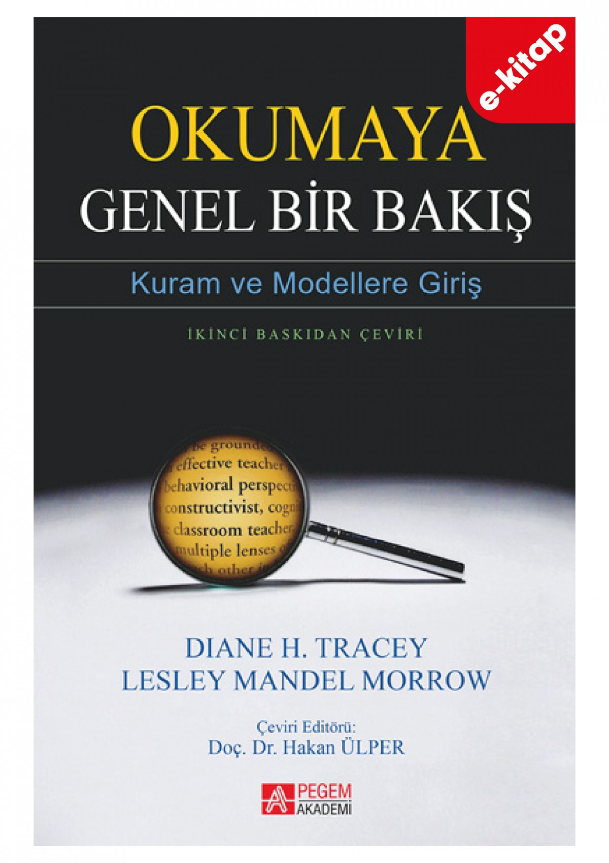Okumaya Genel Bir Bakış (e-kitap)