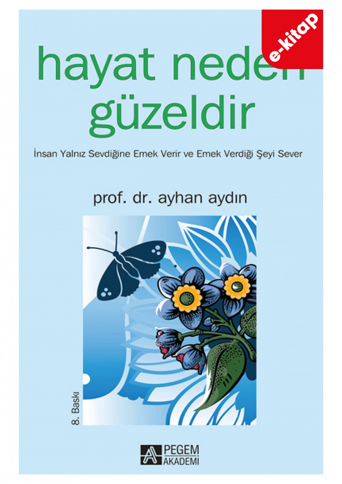 Hayat Neden Güzeldir (e-kitap)