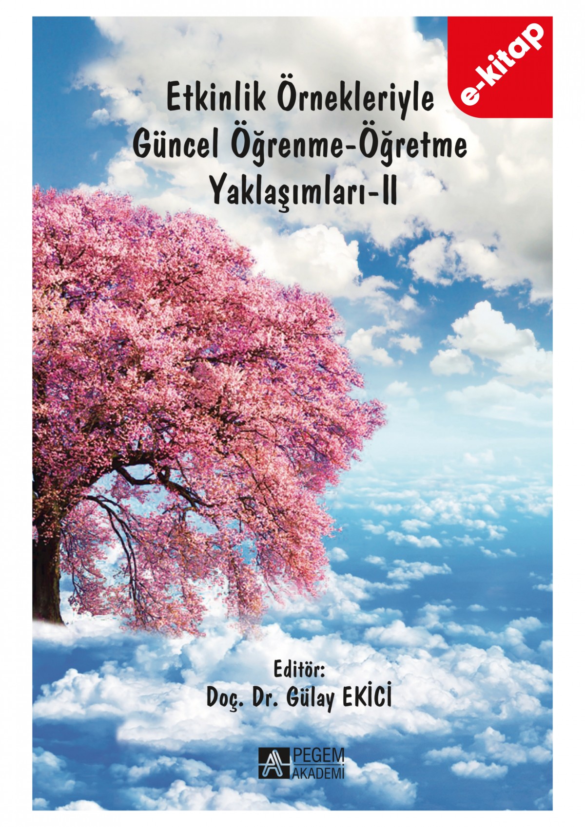 Etkinlik Örnekleriyle Güncel Öğrenme-Öğretme Yaklaşımları-II (e-kitap)