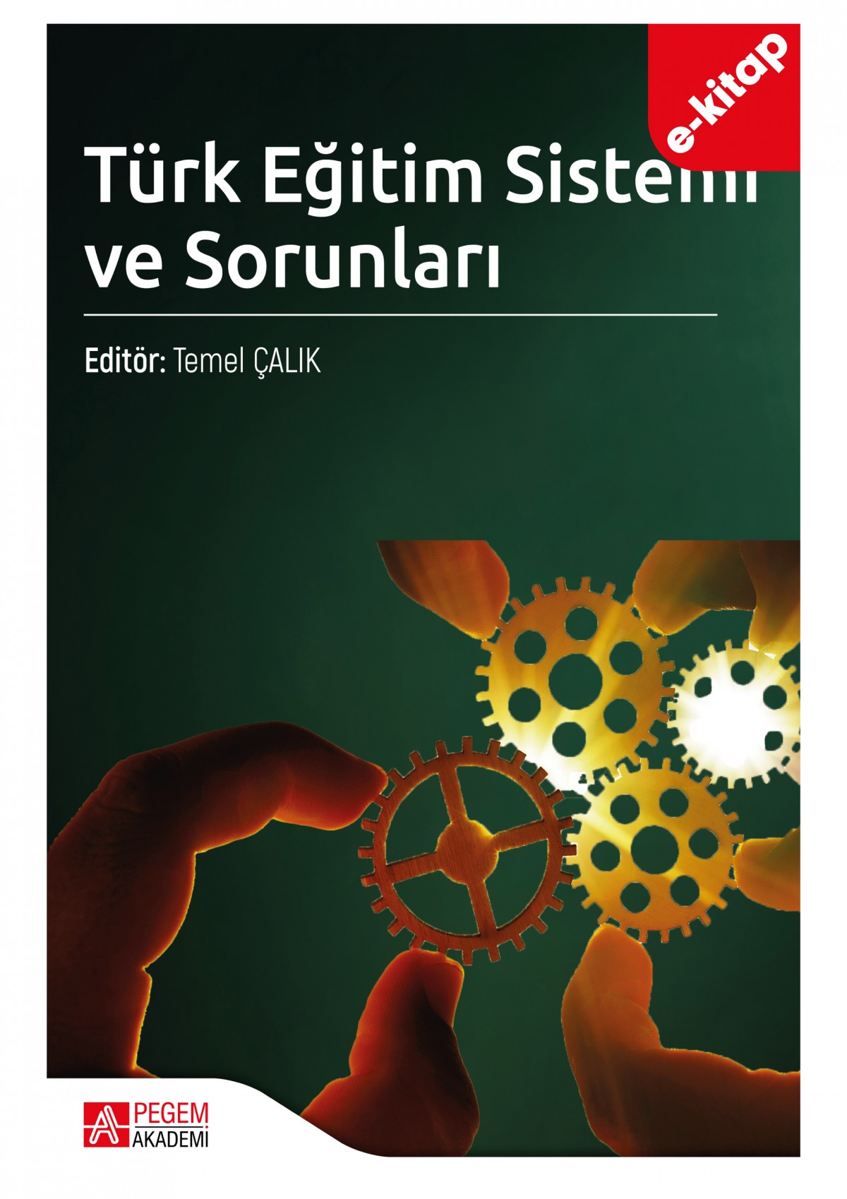 Türk Eğitim Sistemi ve Sorunları (e-kitap)