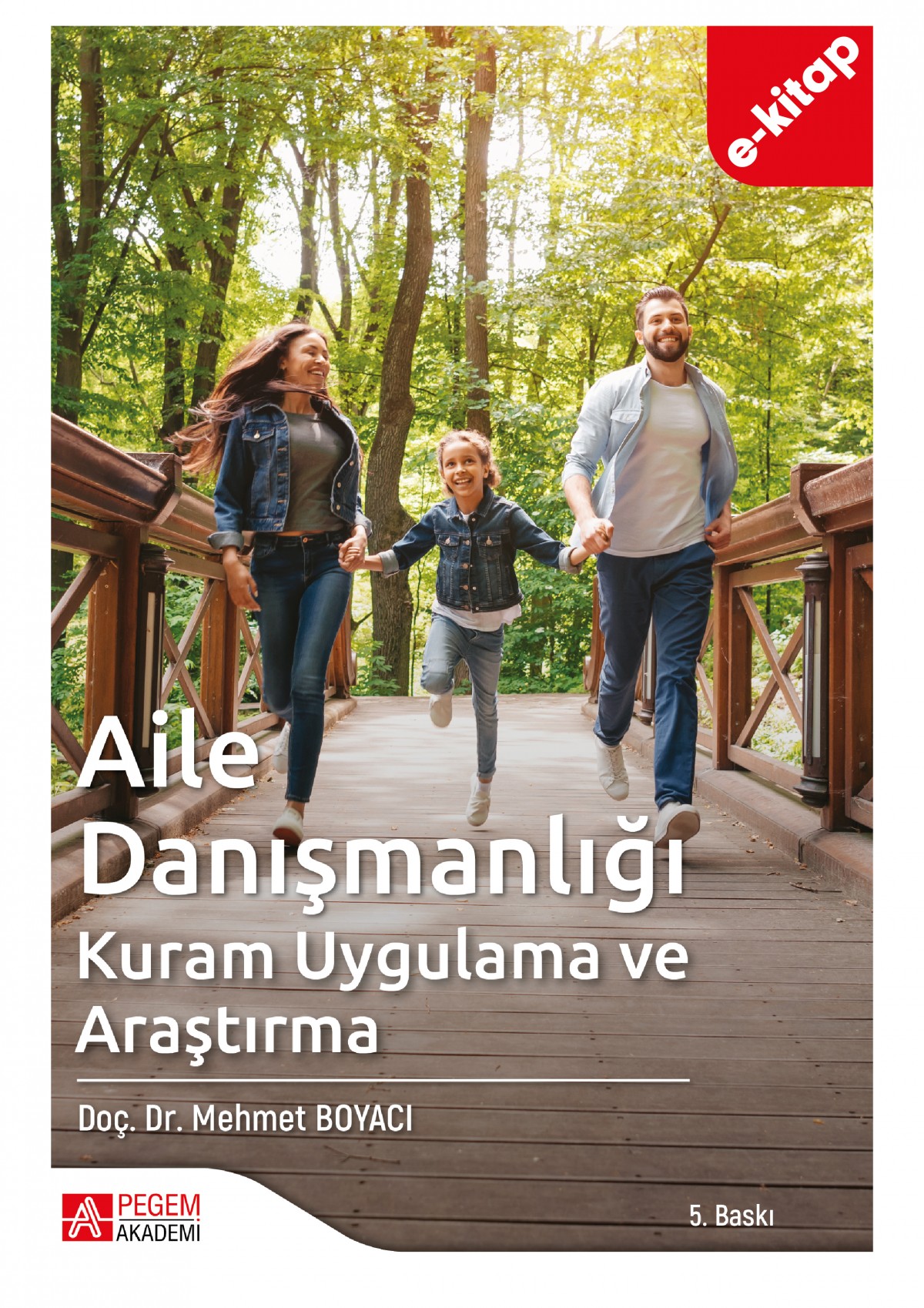 Aile Danışmanlığı Kuram Uygulama ve Araştırma (e-kitap)