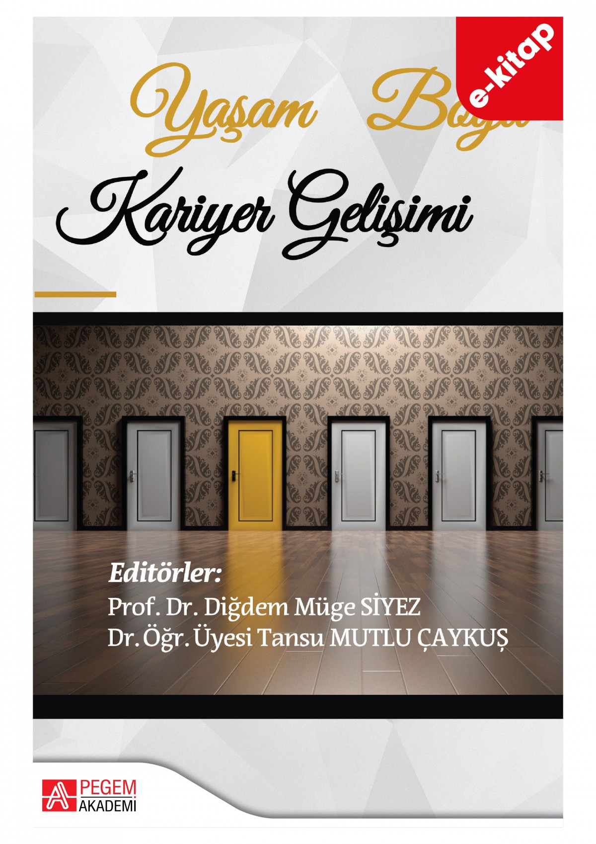 Yaşam Boyu Kariyer Gelişimi (e-kitap)