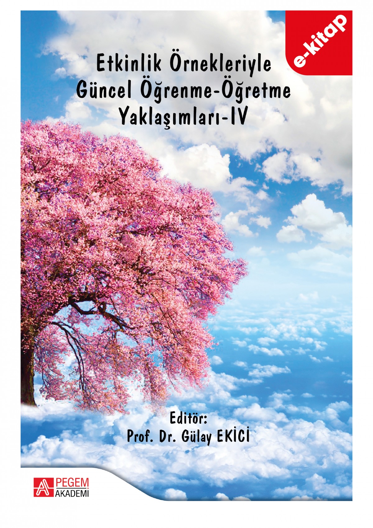 Etkinlik Örnekleriyle Güncel Öğrenme-Öğretme Yaklaşımları-IV (e-kitap)