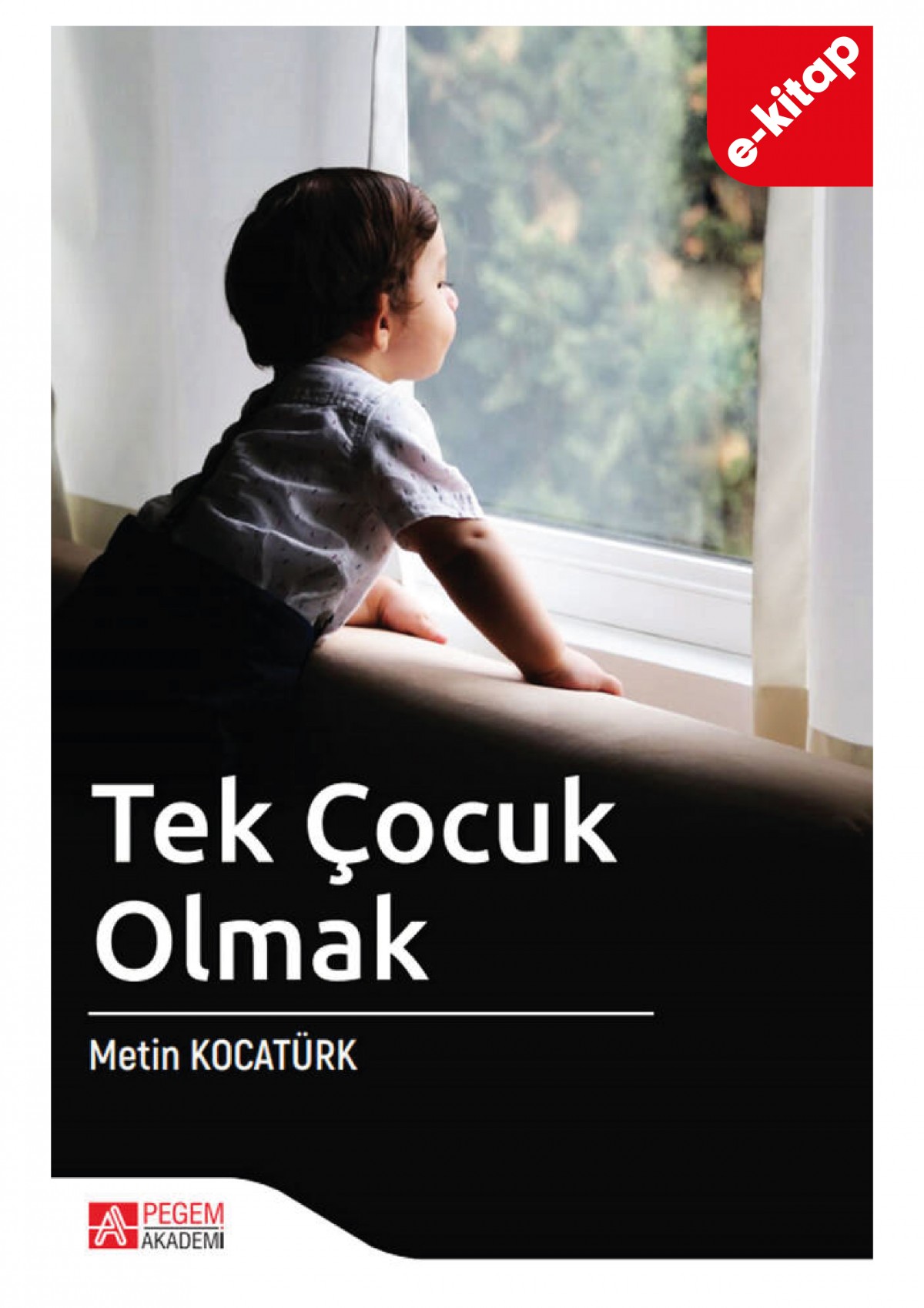 Tek Çocuk Olmak (e-kitap)