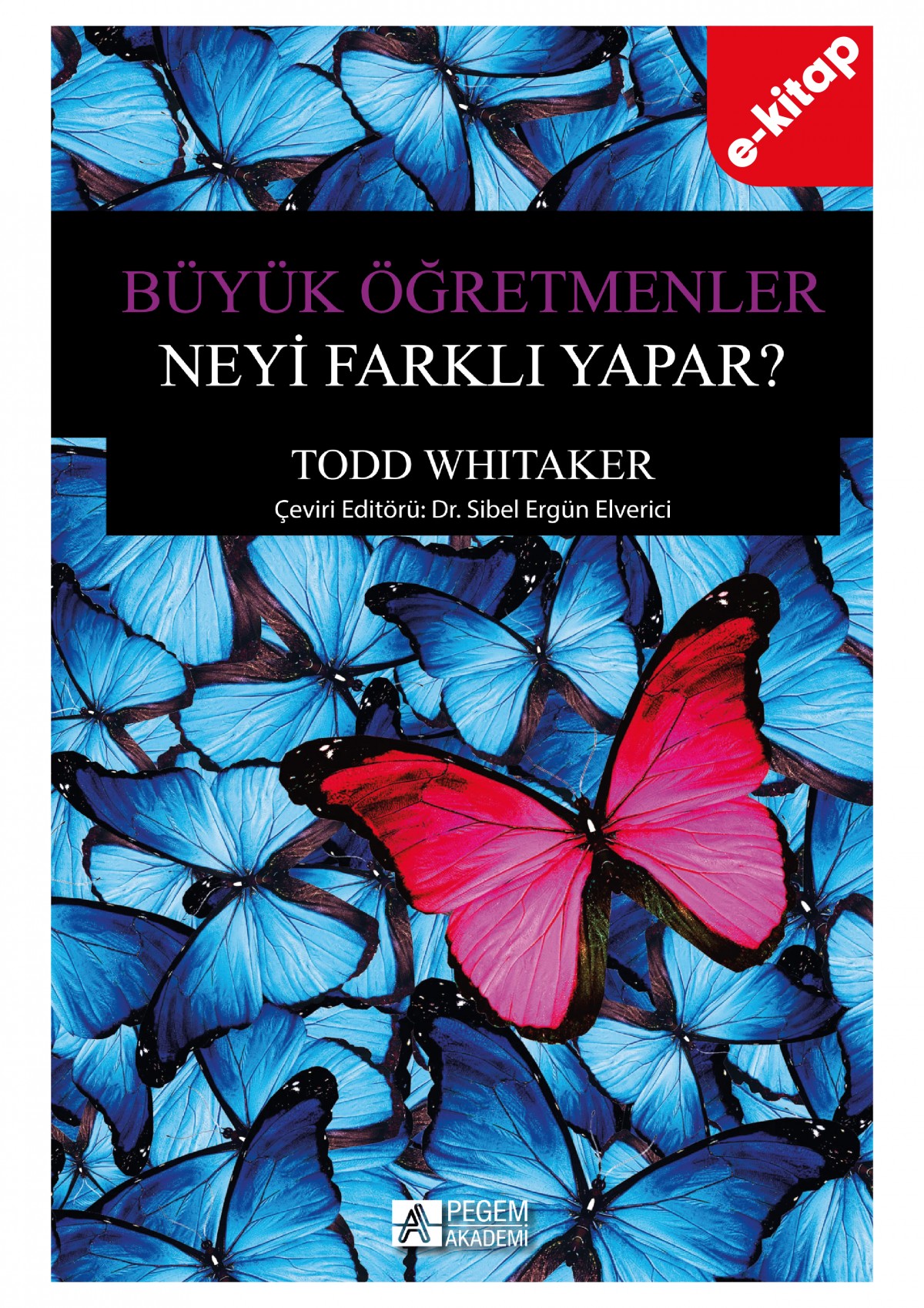 Büyük Öğretmenler Neyi Farklı Yapar? (e-kitap)