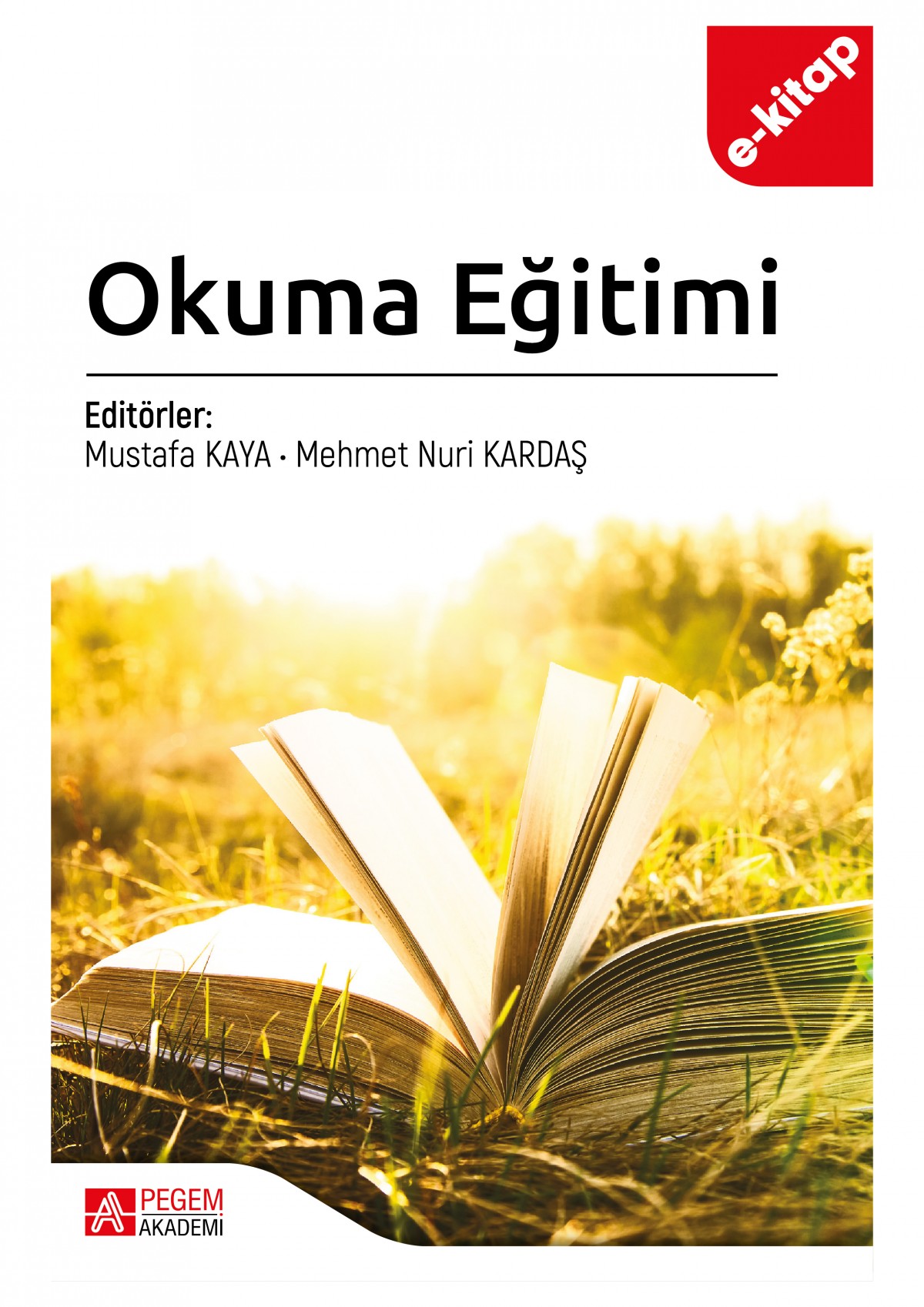 Okuma Eğitimi (e-kitap)