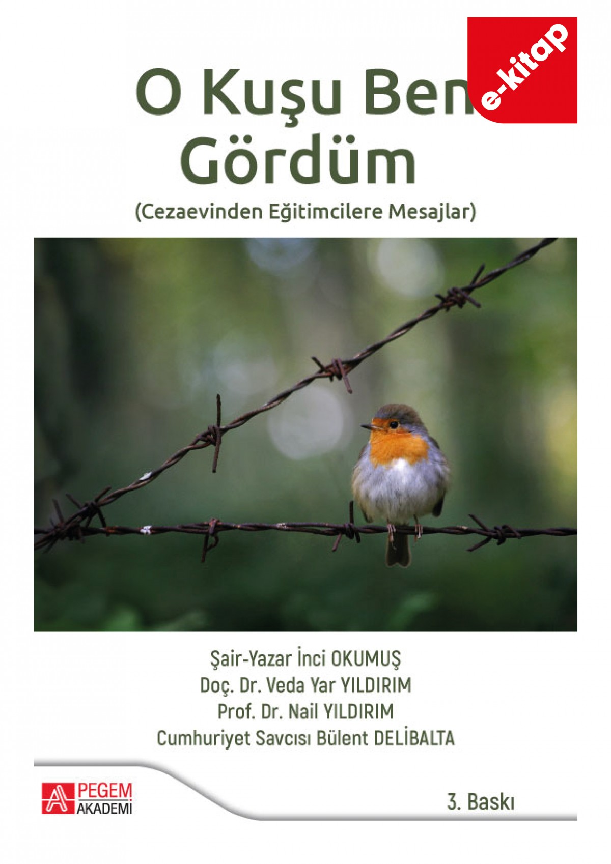 O Kuşu Ben Gördüm (e-kitap)