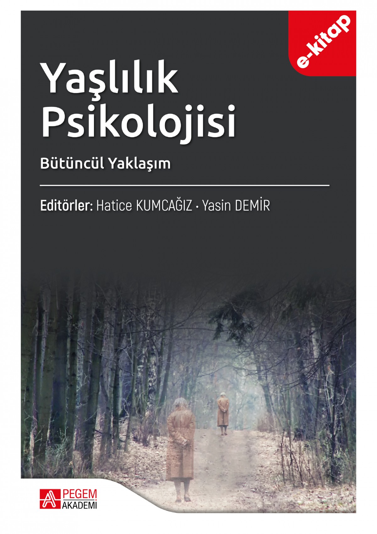 Yaşlılık Psikolojisi Bütüncül Yaklaşım (e-kitap)