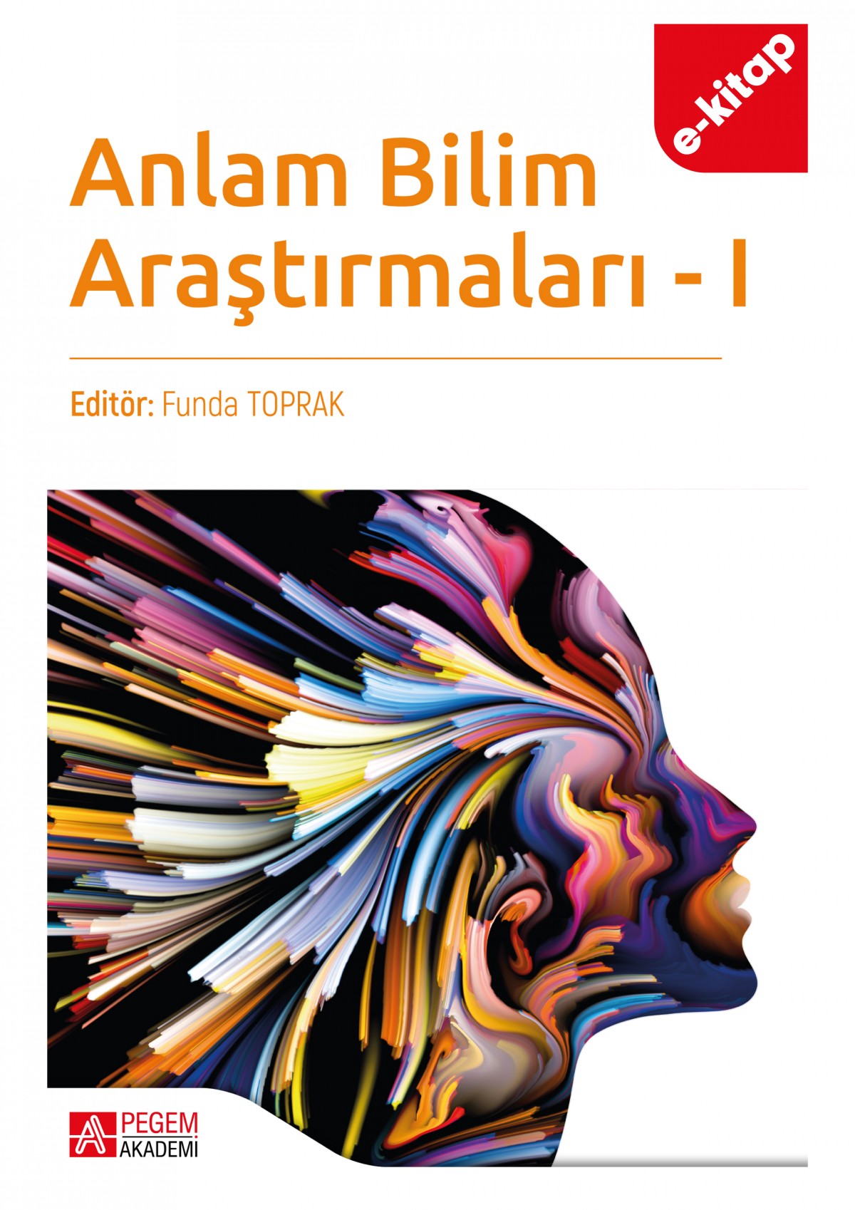 Anlam Bilim Araştırmaları 1 (e-kitap)