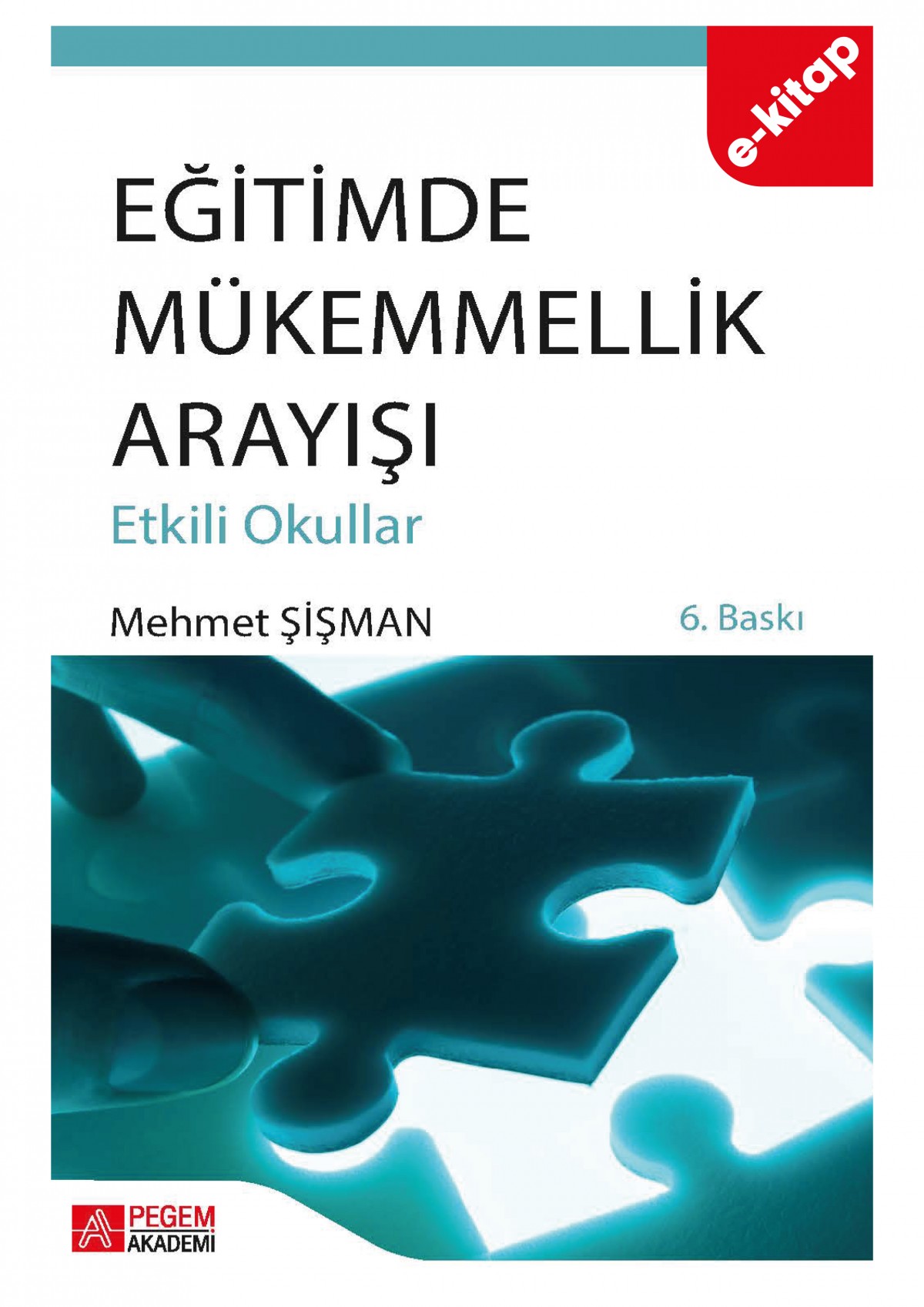 Eğitimde Mükemmellik Arayışı (Etkili Okullar) (e-kitap)