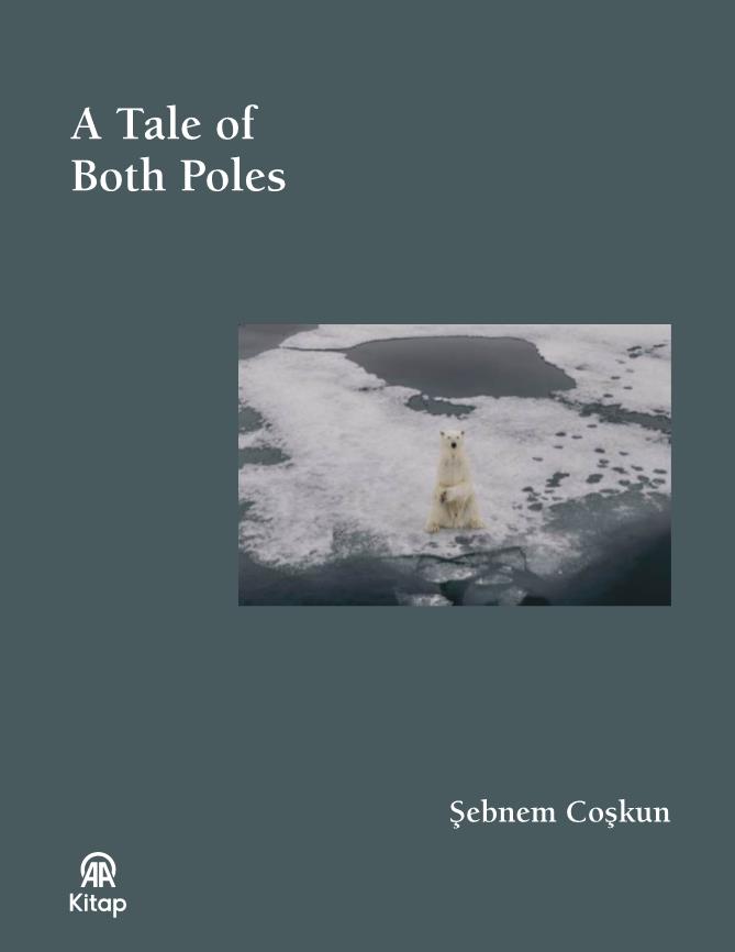 A Tale Of Both Poles (Bez Ciltli)