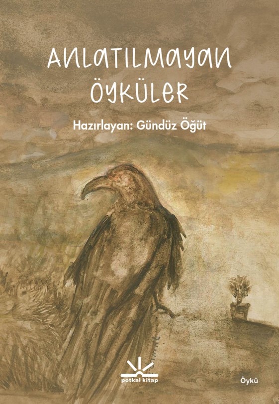 Anlatılmayan Öyküler