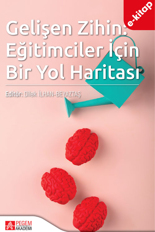 Gelişen Zihin: Eğitimciler İçin Bir Yol Haritası (e-kitap)