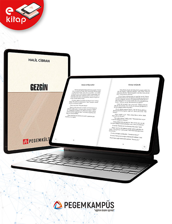 Gezgin (e-kitap) Gezgin (e-kitap)