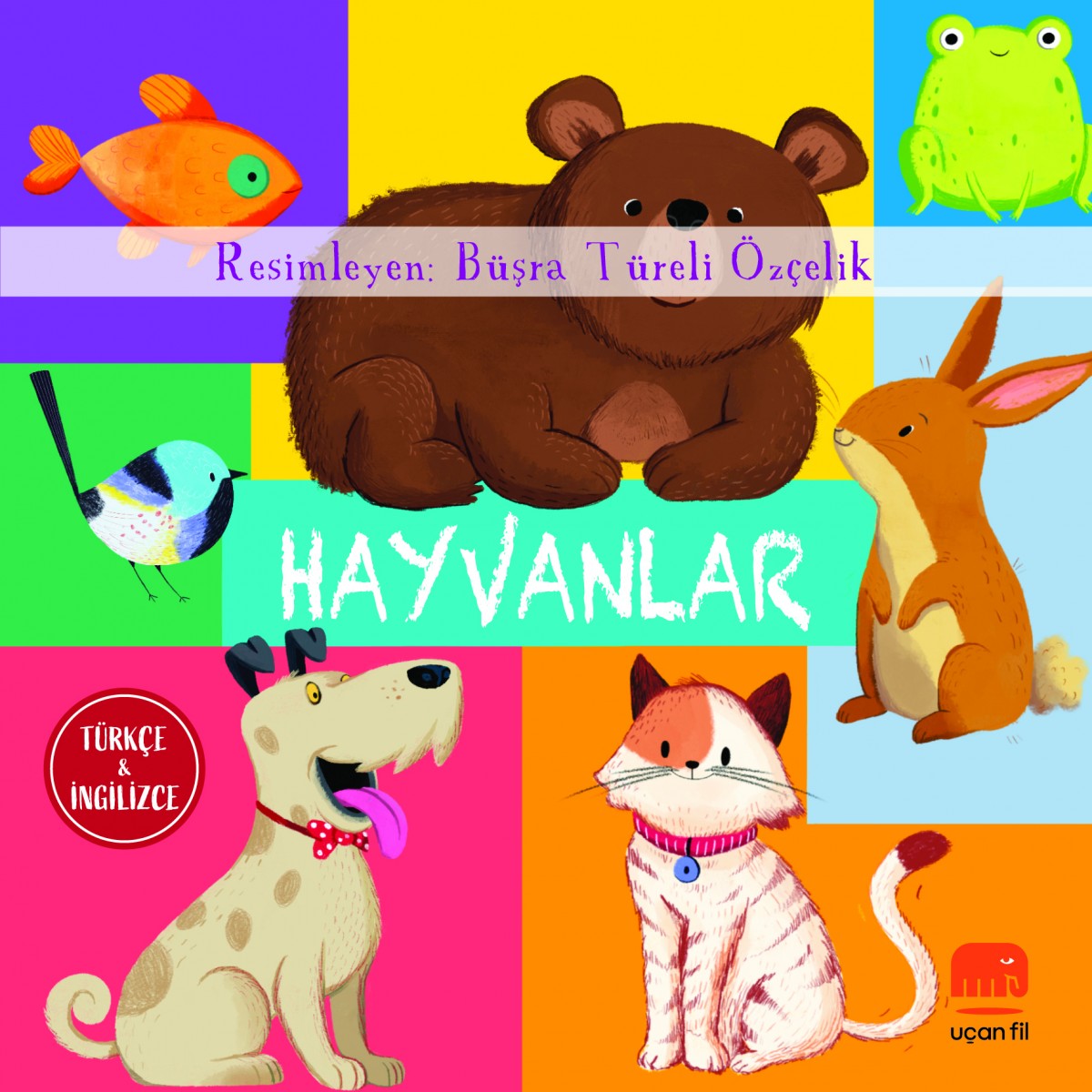 Hayvanlar (Board Book) Hayvanlar (Board Book)