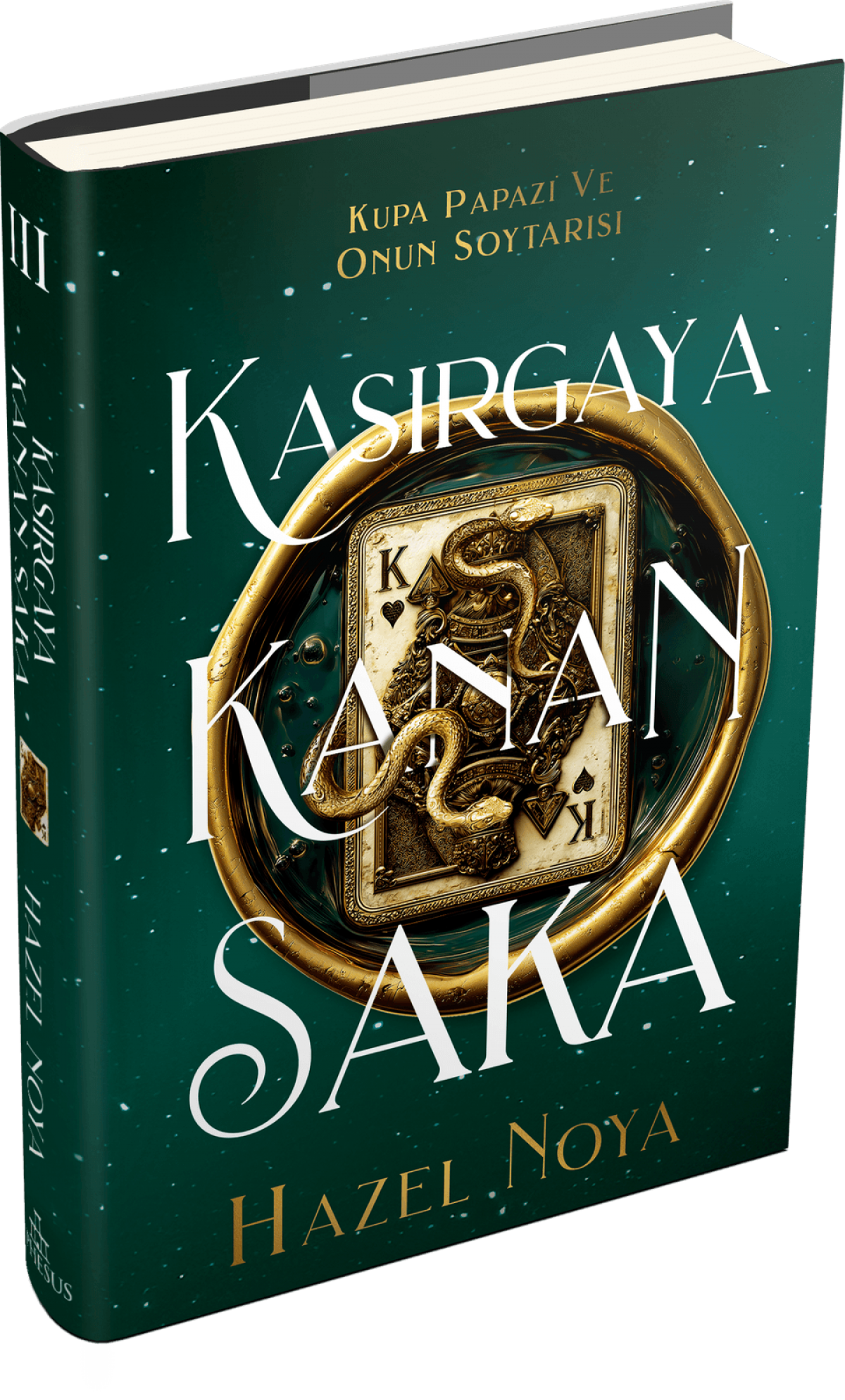 Kasırgaya Kanan Saka 3 - Ciltli Kasırgaya Kanan Saka 3 - Ciltli