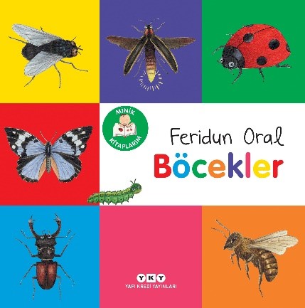 Minik Kitaplarım – Böcekler Minik Kitaplarım – Böcekler