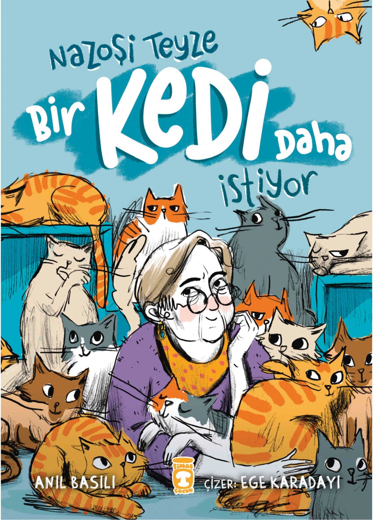 Nazoşi Teyze Bir Kedi Daha İstiyor Nazoşi Teyze Bir Kedi Daha İstiyor