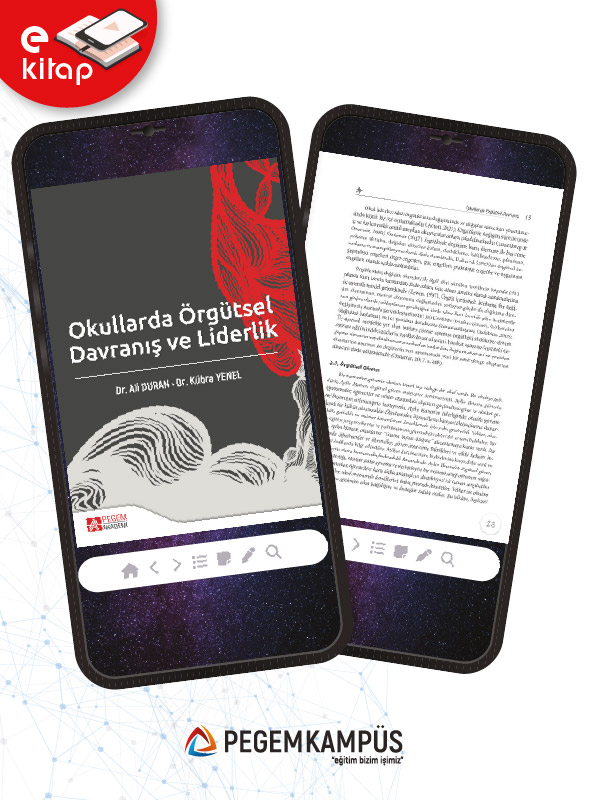 Okullarda Örgütsel Davranış ve Liderlik (e-kitap)