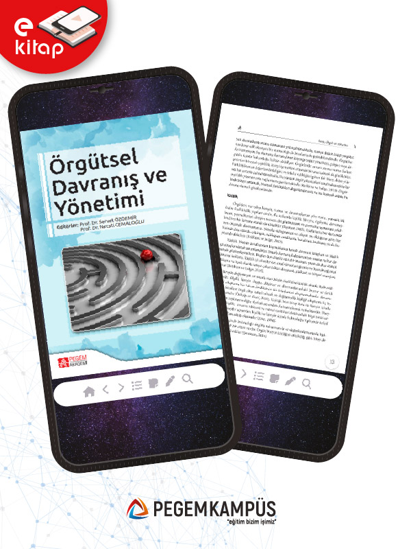 Örgütsel Davranış ve Yönetimi (e-kitap) Örgütsel Davranış ve Yönetimi (e-kitap)