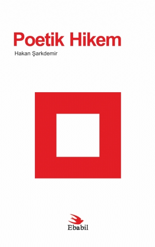 Poetik Hikem (Eleştiri)