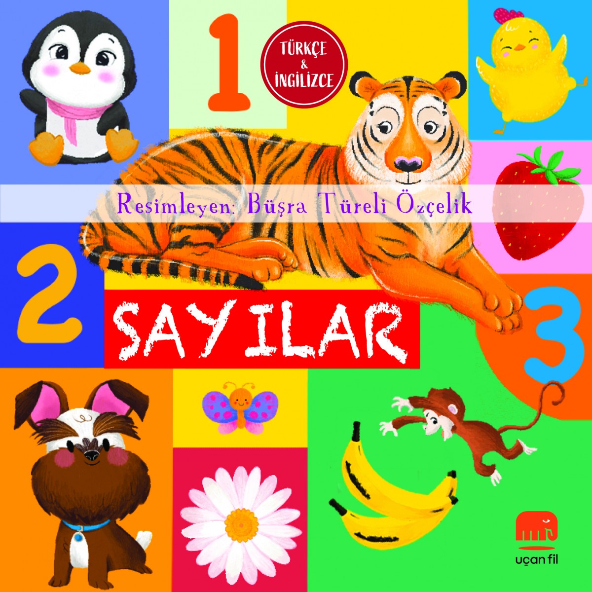 Sayılar (Board Book)