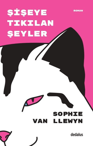 Şişeye Tıkılan Şeyler Şişeye Tıkılan Şeyler