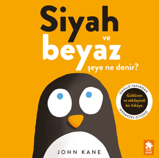 Siyah ve Beyaz Şeye Ne Denir?