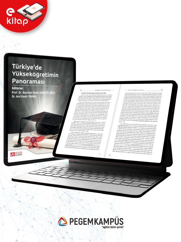 Türkiye'de Yükseköğretimin Panoraması (e-kitap)