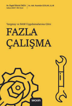 Yargıtay ve BAM Uygulamalarına GöreFazla Çalışma