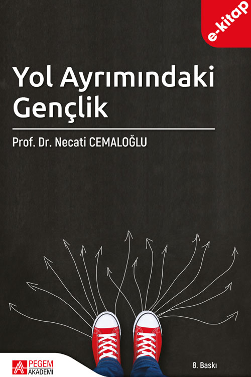 Yol Ayrımındaki Gençlik (e-kitap)