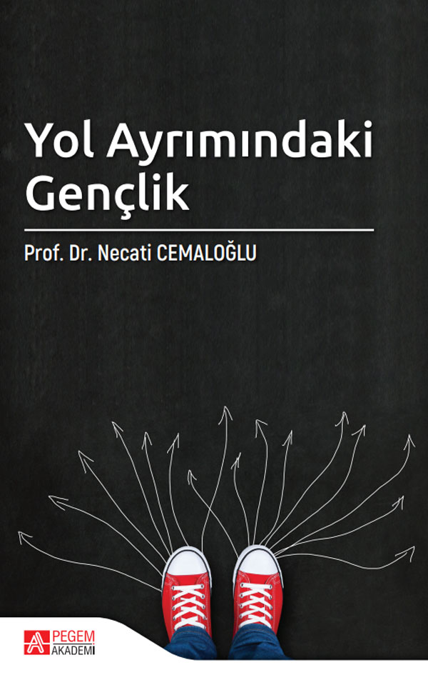 Yol Ayrımındaki Gençlik