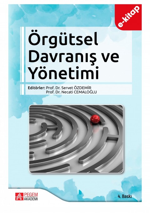 Örgütsel Davranış ve Yönetimi (e-kitap)