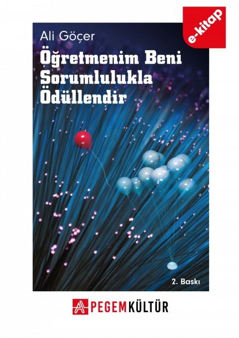 Öğretmenim Beni Sorumlulukla Ödüllendir (e-kitap)