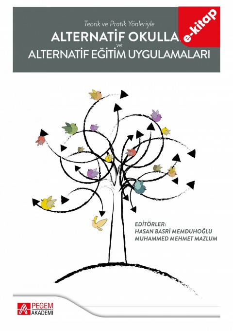 Alternatif Okullar ve Alternatif Eğitim Uygulamaları (e-kitap)
