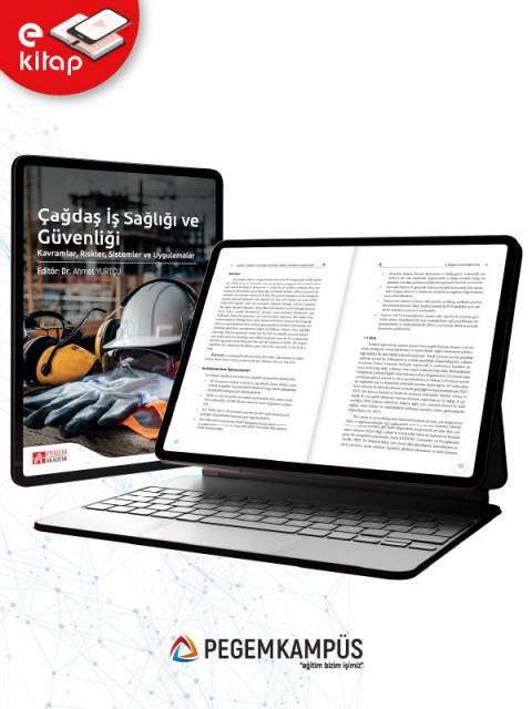 Çağdaş İş Sağlığı ve Güvenliği Kavramlar, Riskler, Sistemler ve Uygulamalar (e-kitap)