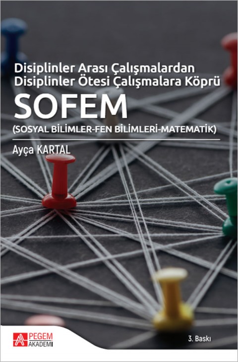 Disiplinler Arası Çalışmalardan Disiplinler Ötesi Çalışmalara Köprü SOFEM