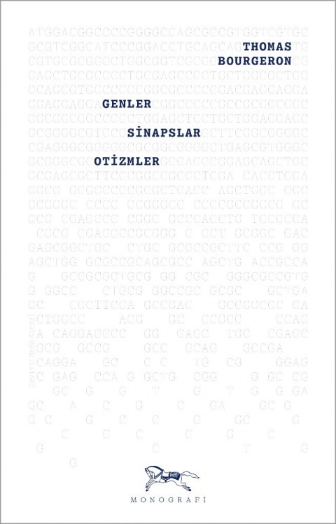 Genler, Sinapslar, Otizmler