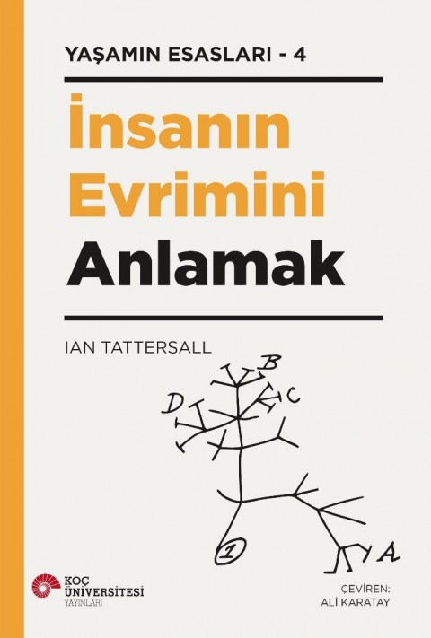 İnsanın Evrimini Anlamak