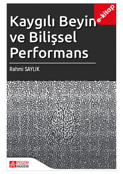 Kaygılı Beyin ve Bilişsel Performans (e-kitap)