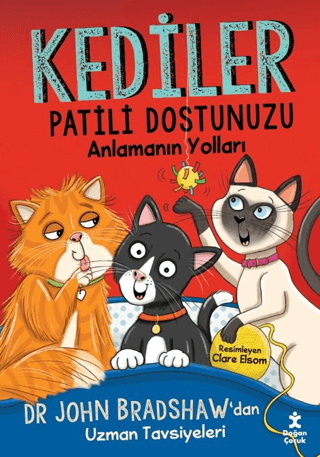 Kediler - Patili Dostunuzu Anlamanın Yolları