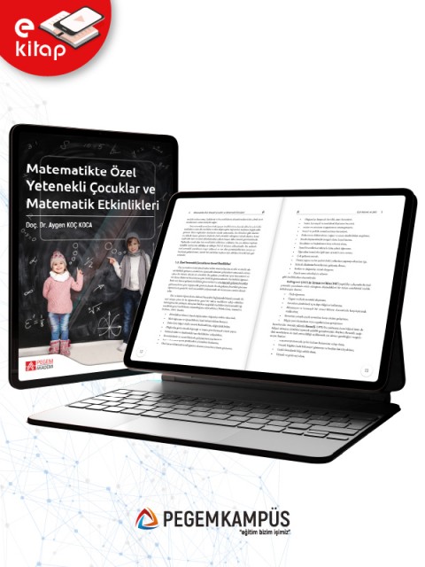 Matematikte Özel Yetenekli Çocuklar ve Matematik Etkinlikleri (e-kitap)