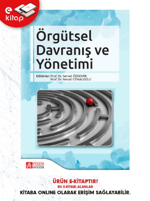 Örgütsel Davranış ve Yönetimi (e-kitap)