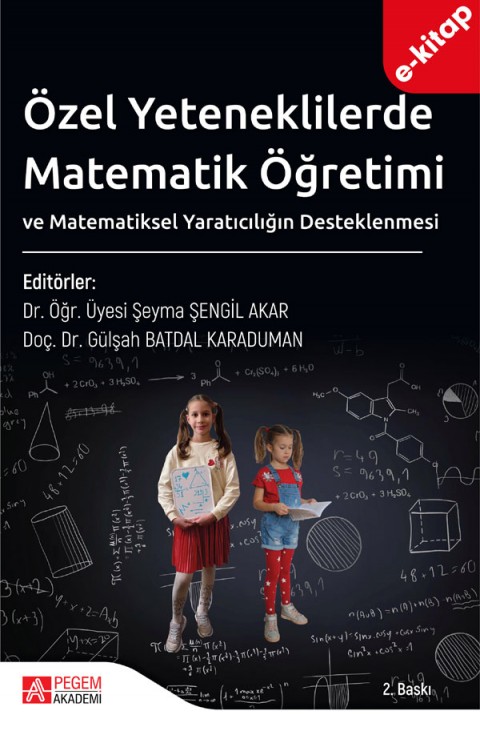 Özel Yeteneklilerde Matematik Öğretimi ve Matematiksel Yaratıcılığın Desteklenmesi (e-kitap)